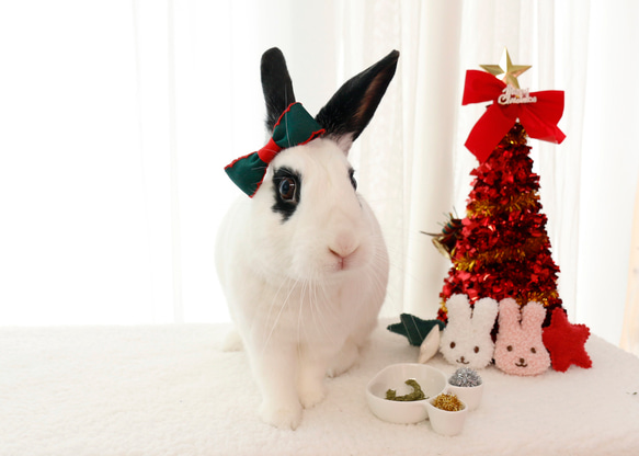 うさぎ用のクリスマス耳リボン 16枚目の画像