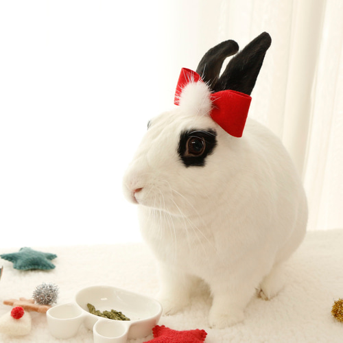 うさぎ用のクリスマス耳リボン ペット服・アクセサリー ECRABBIT 通販