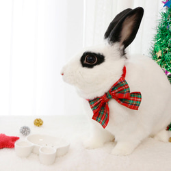 ウサギ用 クリスマス ネック リボン/帽子 7枚目の画像