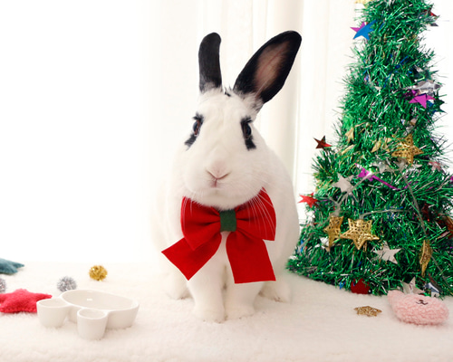 未使用品】ナタリーレテ うさぎ オーナメント ハンドペイント 硝子