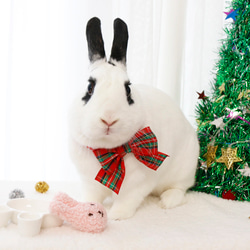 ウサギ用 クリスマス ネック リボン/帽子 6枚目の画像