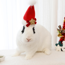 ウサギ用 クリスマス ネック リボン/帽子 11枚目の画像