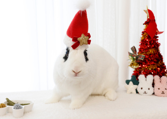 ウサギ用 クリスマス ネック リボン/帽子 11枚目の画像