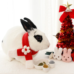 ウサギ用 クリスマス ネック リボン/帽子 18枚目の画像