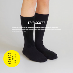 レディースソックス キナリノ掲載 靴下 黒 ブラック フィット「TRIP SCOTT」 BLACK 丈夫 速乾 1枚目の画像