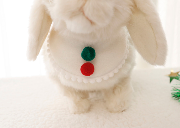 ウサギ用のクリスマスケープ 12枚目の画像