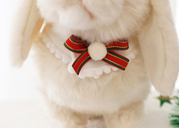 ウサギ用のクリスマスケープ 15枚目の画像