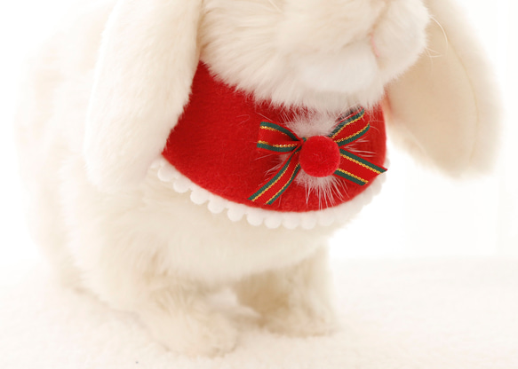 ウサギ用のクリスマスケープ 16枚目の画像