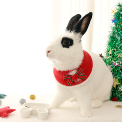 ウサギ用のクリスマスケープ 11枚目の画像