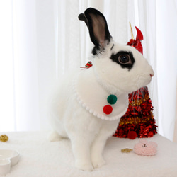 ウサギ用のクリスマスケープ 9枚目の画像