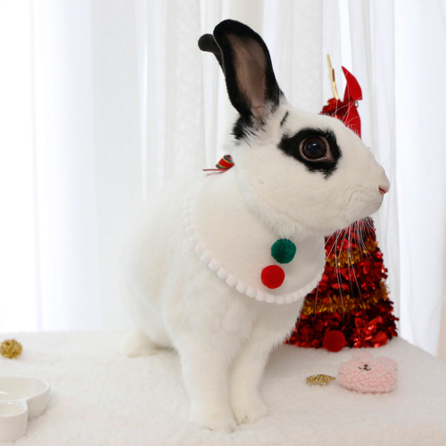 ウサギ用のクリスマスケープ ペット服・アクセサリー ECRABBIT