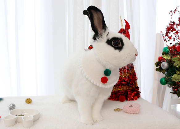 ウサギ用のクリスマスケープ 9枚目の画像