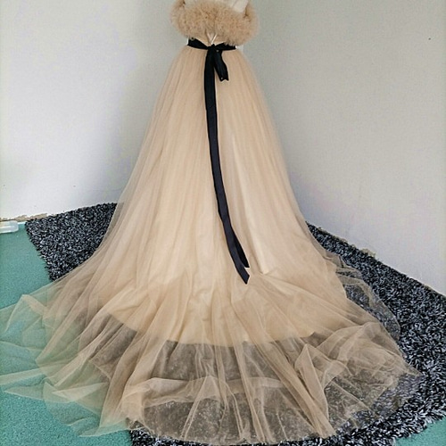 高品質！シャンパン色 カラードレストレーン 取り外しオフショルダー  