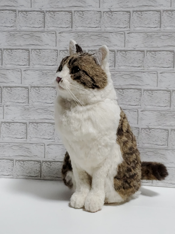 羊毛フェルトオーダーメイド 