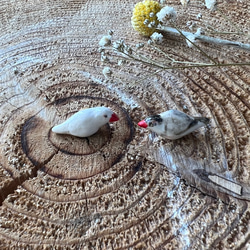 コロンと丸くてかわいい　陶器製　文鳥のピアス 6枚目の画像