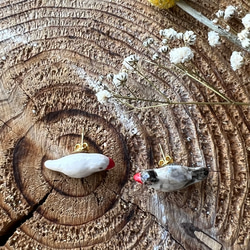 コロンと丸くてかわいい　陶器製　文鳥のピアス 8枚目の画像