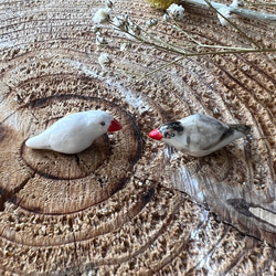 コロンと丸くてかわいい　陶器製　文鳥のピアス 7枚目の画像