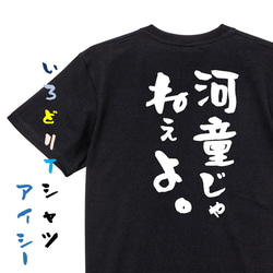 ハゲ系半袖Tシャツ【河童じゃねぇよ。】おもしろTシャツ　ネタTシャツ 2枚目の画像