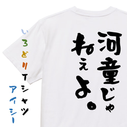 ハゲ系半袖Tシャツ【河童じゃねぇよ。】おもしろTシャツ　ネタTシャツ 1枚目の画像