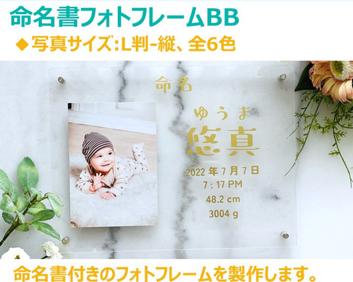 6f9a35d83153bd076486cb82fadc9c