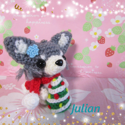 チワワちゃんのクリスマス(ロングコート ブルータン