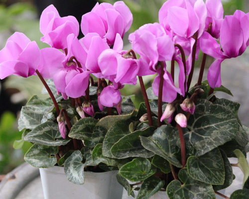 38f2cc994fb46463640ec7d877310c