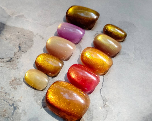 べっ甲カラー ✖ マグネットネイル ネイルチップ（つけ爪） ＊Sonico