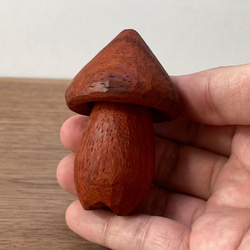 木彫り きのこ 置物 オブジェ（木材：パドウク）（No.T1020） 11枚目の画像