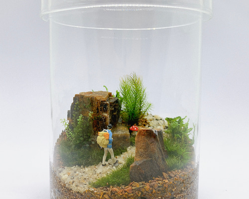 苔テラリウム 苔と川のせせらぎ🌿 水景の苔テラリウム THE☆MOSS