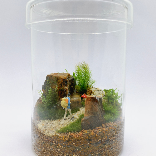 苔テラリウム『ハイキング』 その他インテリア雑貨 Element Earth 通販