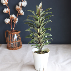 adb6f6be05b29a9d930ef2912541cb