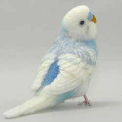 [Ｒ様専用] セキセイインコ ブルーパイド / 羊毛フェルト リアルサイズ 3枚目の画像