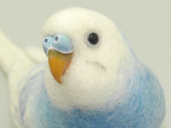 [Ｒ様専用] セキセイインコ ブルーパイド / 羊毛フェルト リアルサイズ 1枚目の画像