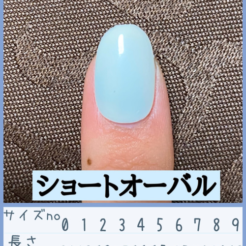 オーダーネイルチップNo.82 爽やか マグネット シルバー キラキラデザイン オーダーネイルチップNo.82 爽やか マグネット シルバー