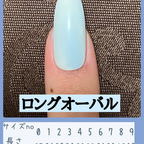 ネイルチップ 幸せの金箔 キラキラシルバー マグネットネイル