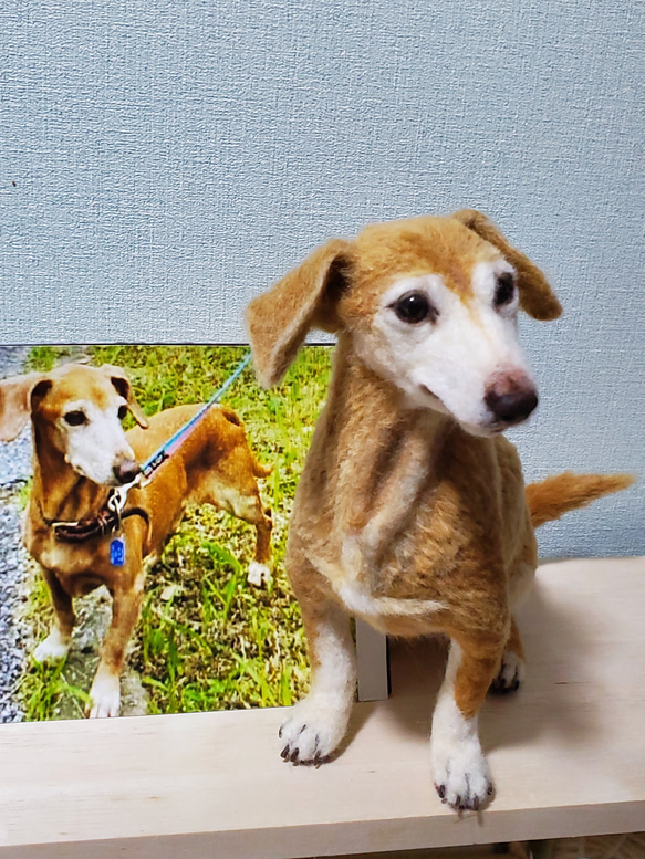 羊毛フェルトオーダーメイド 『羊毛フェルトの絵本』麒麟にのったカッパ君 P2781494357(21120円)