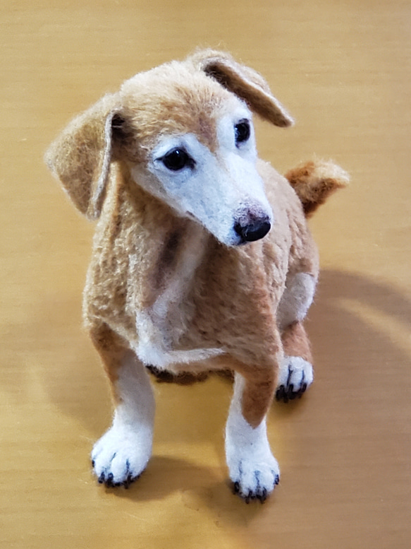 羊毛フェルトオーダーメイド 『羊毛フェルトの絵本』麒麟にのったカッパ君 P2781494357(21120円)