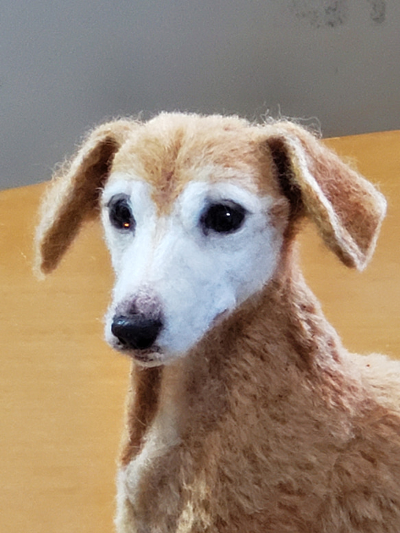 羊毛フェルトオーダーメイド 『羊毛フェルトの絵本』麒麟にのったカッパ君 P2781494357(21120円)