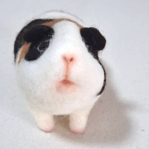 ゆずゆずゆずる♪モルモットちゃん 羊毛フェルト ハンドメイド ゆずゆずゆずる♪モルモットちゃん 羊毛フェルト ハンドメイド