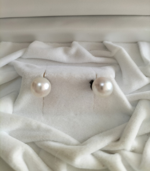 あこや本真珠（日本産）のチタン製のピアス 7枚目の画像