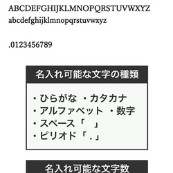 スモーキーカラー リールパスケース　01315 10枚目の画像