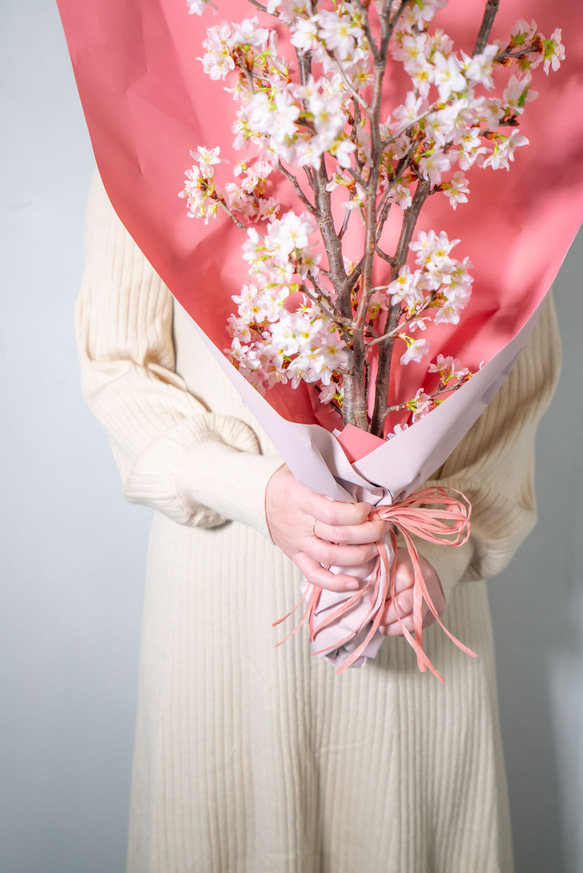 【お部屋でお花見】ラッピング付き啓翁桜10本花束 70cm 3枚目の画像