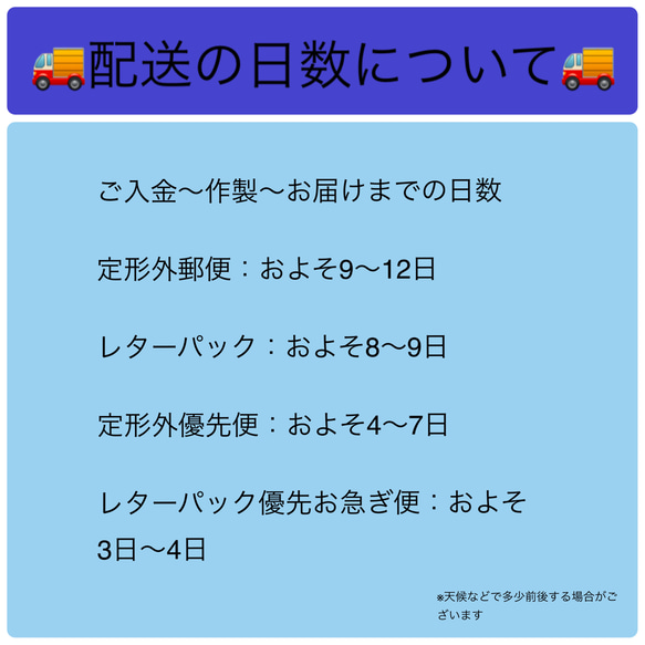 辰の帽子☆2024ペット用 8枚目の画像