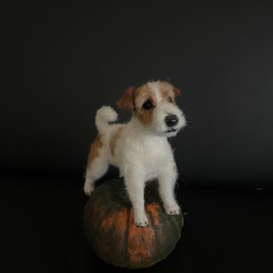 羊毛フェルト犬 ジャックラッセルテリア 羊毛フェルト sumimugi 通販