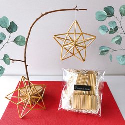 お家で楽しく物作り！【動画付き手作りキット】ヒンメリキットNo