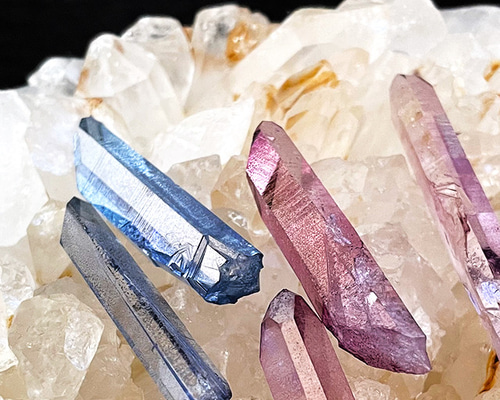 d4d51e5fc4e6aa12ce3444a86616ea