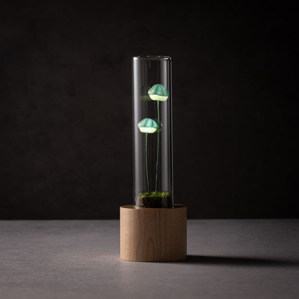 きのこの照明　ホッカムリ（ツヤ） 1枚目の画像