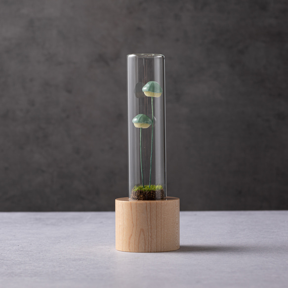 きのこの照明　ホッカムリ（ツヤ） 2枚目の画像