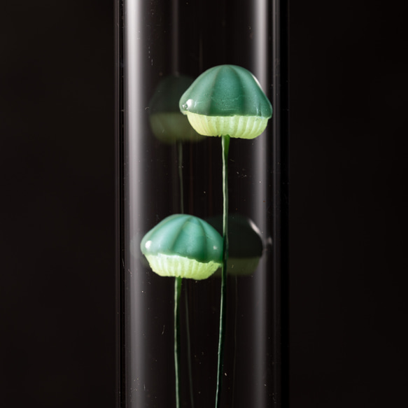 きのこの照明　ホッカムリ（ツヤ） 3枚目の画像