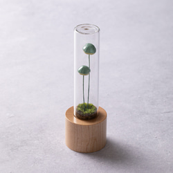 きのこの照明　ホッカムリ（ツヤ） 5枚目の画像